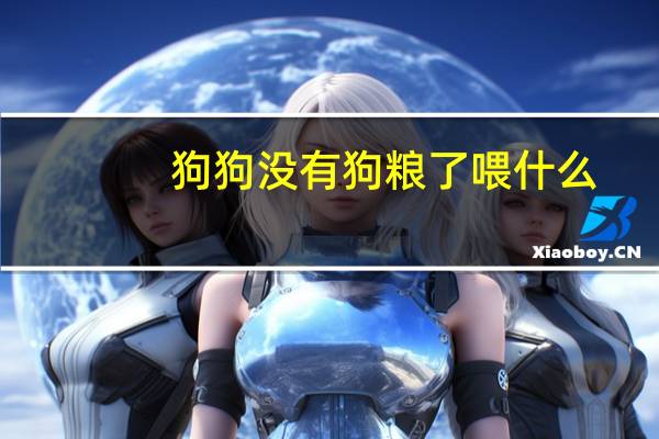 狗狗没有狗粮了喂什么