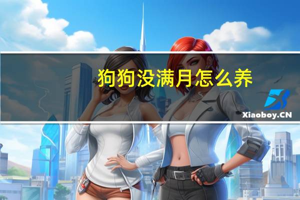 狗狗没满月怎么养