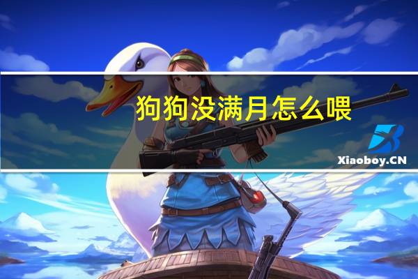 狗狗没满月怎么喂