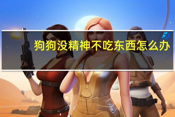 狗狗没精神不吃东西怎么办