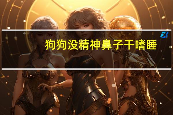 狗狗没精神鼻子干嗜睡