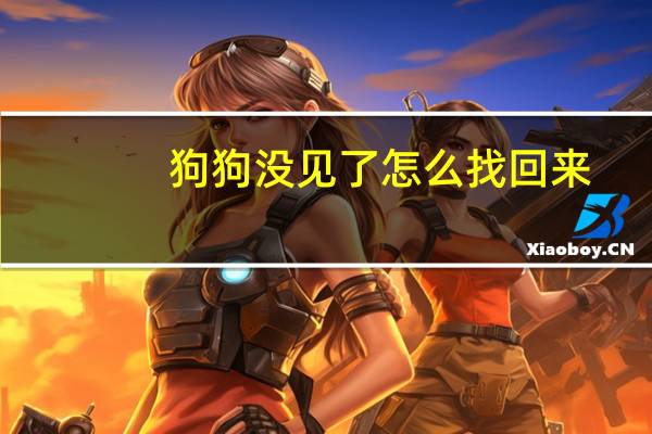 狗狗没见了怎么找回来