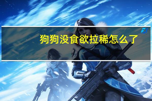 狗狗没食欲拉稀怎么了