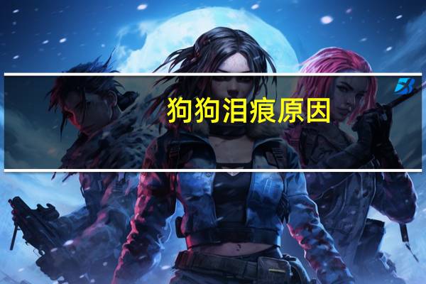 狗狗泪痕原因