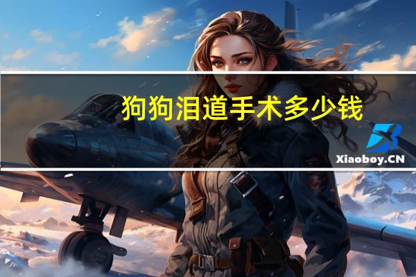狗狗泪道手术多少钱