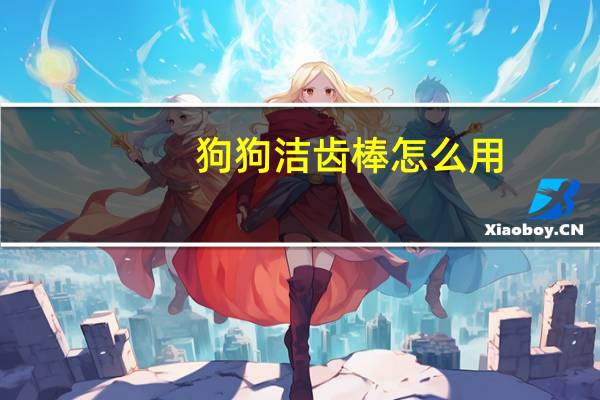 狗狗洁齿棒怎么用