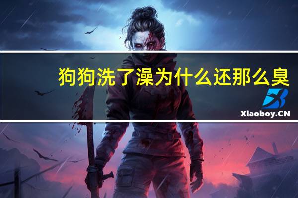 狗狗洗了澡为什么还那么臭