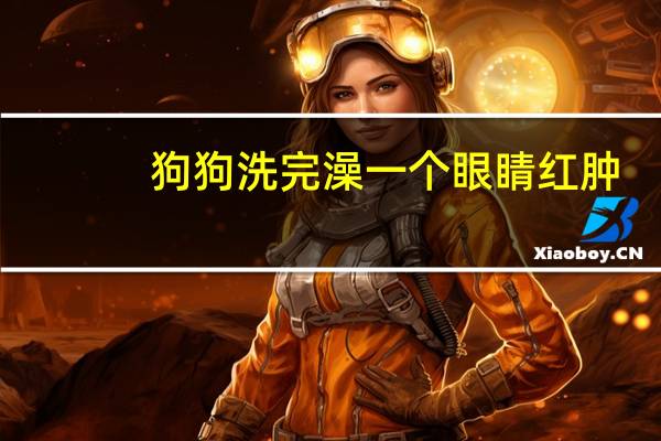 狗狗洗完澡一个眼睛红肿