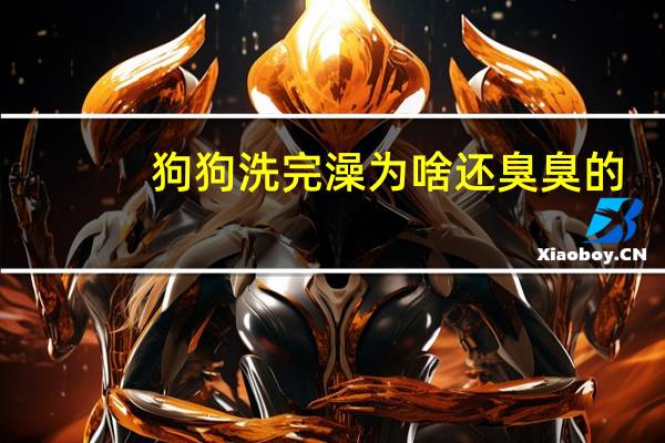 狗狗洗完澡为啥还臭臭的
