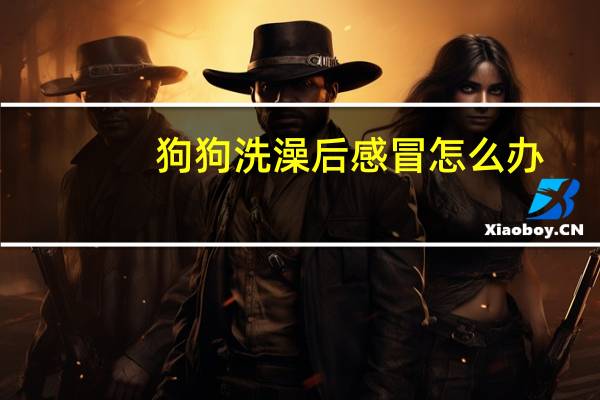 狗狗洗澡后感冒怎么办