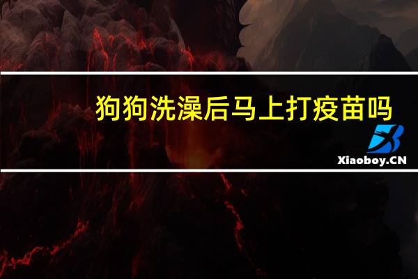 狗狗洗澡后马上打疫苗吗