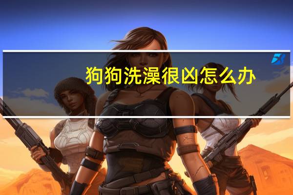 狗狗洗澡很凶怎么办