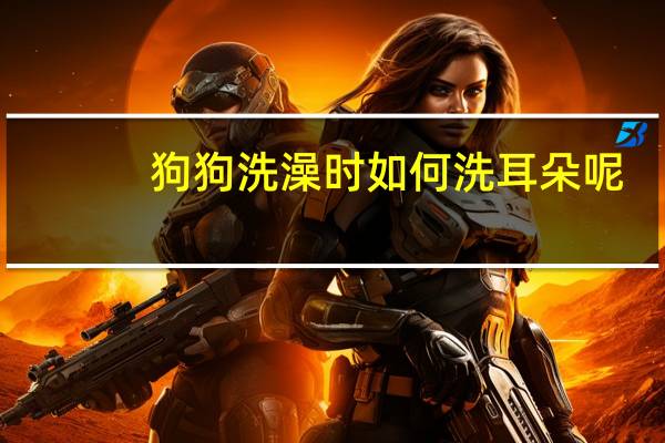 狗狗洗澡时如何洗耳朵呢