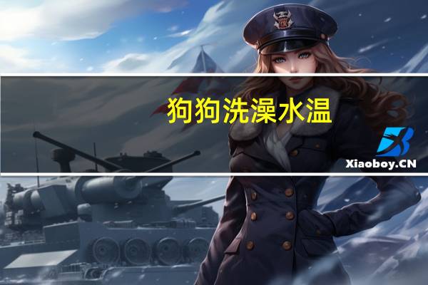 狗狗洗澡水温