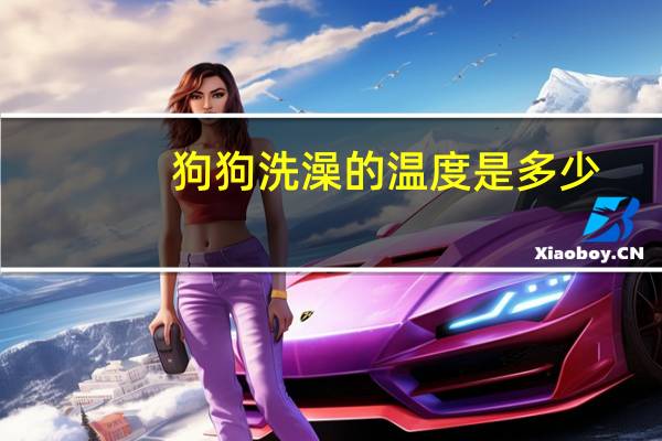 狗狗洗澡的温度是多少