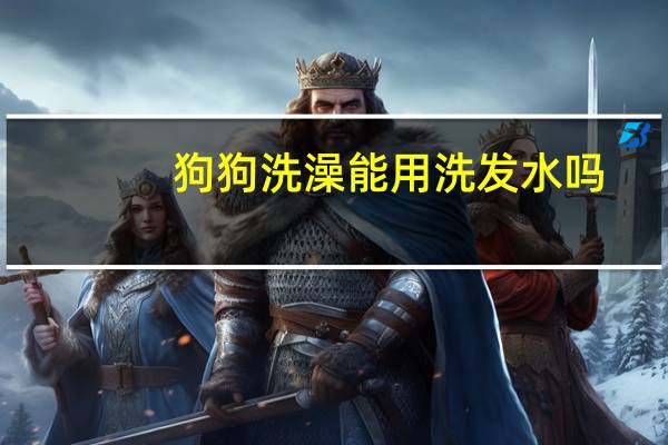狗狗洗澡能用洗发水吗