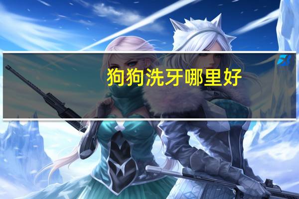 狗狗洗牙哪里好