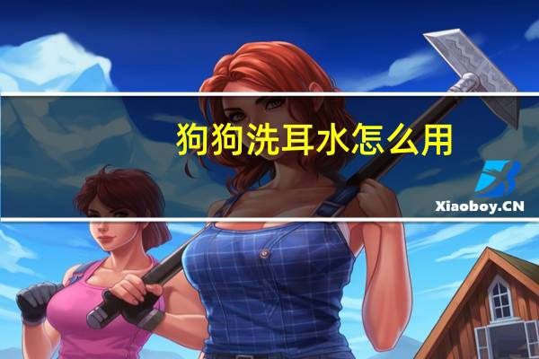 狗狗洗耳水怎么用