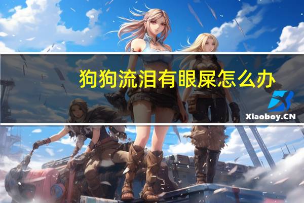 狗狗流泪有眼屎怎么办