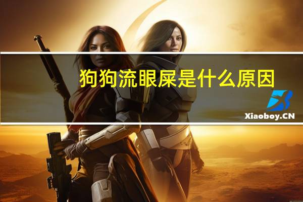 狗狗流眼屎是什么原因