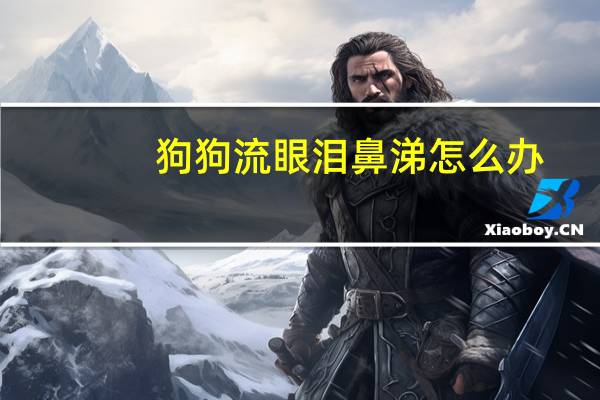 狗狗流眼泪鼻涕怎么办