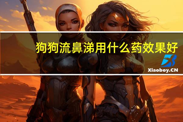 狗狗流鼻涕用什么药效果好