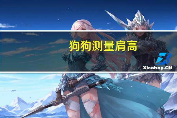 狗狗测量肩高