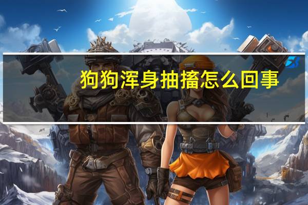 狗狗浑身抽搐怎么回事
