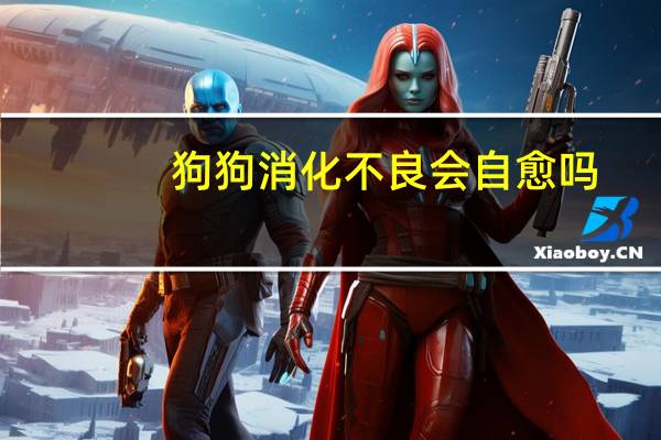 狗狗消化不良会自愈吗