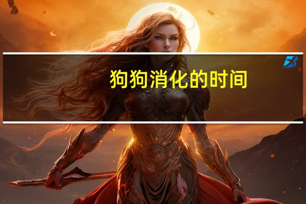 狗狗消化的时间