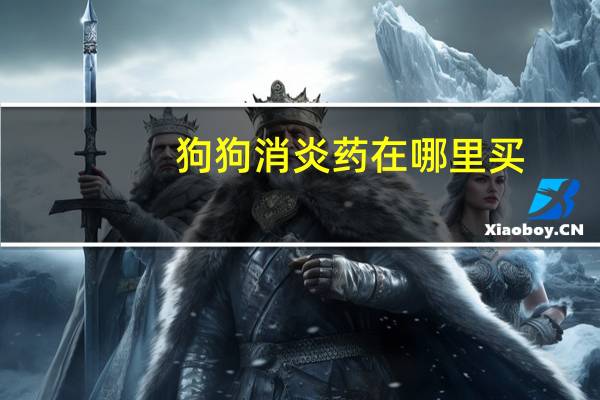 狗狗消炎药在哪里买