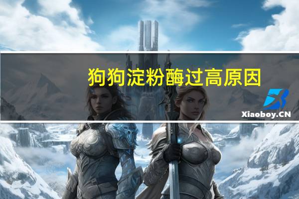 狗狗淀粉酶过高原因