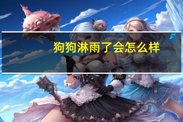 狗狗淋雨了会怎么样