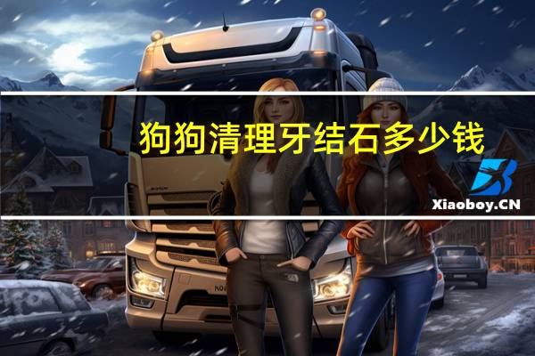 狗狗清理牙结石多少钱