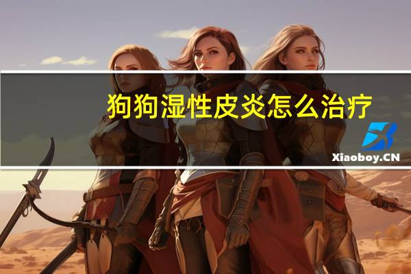 狗狗湿性皮炎怎么治疗