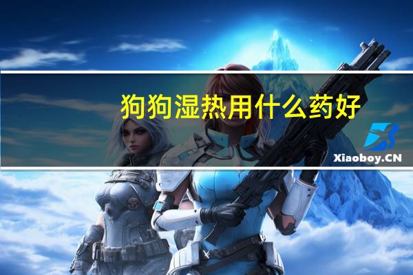 狗狗湿热用什么药好