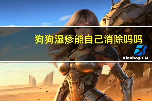 狗狗湿疹能自己消除吗吗