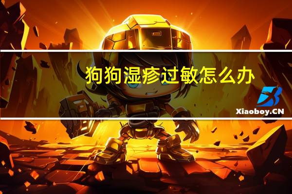 狗狗湿疹过敏怎么办
