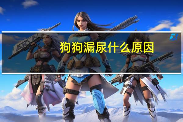 狗狗漏尿什么原因