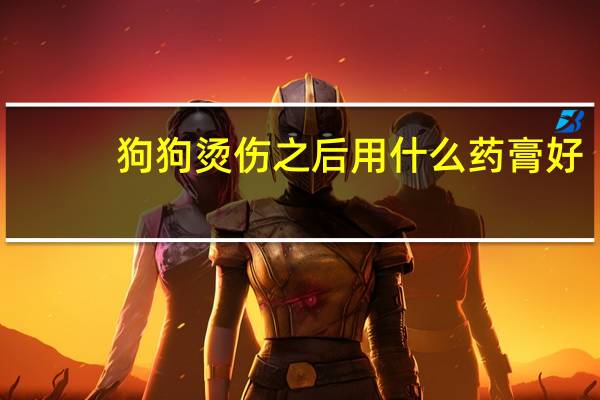 狗狗烫伤之后用什么药膏好