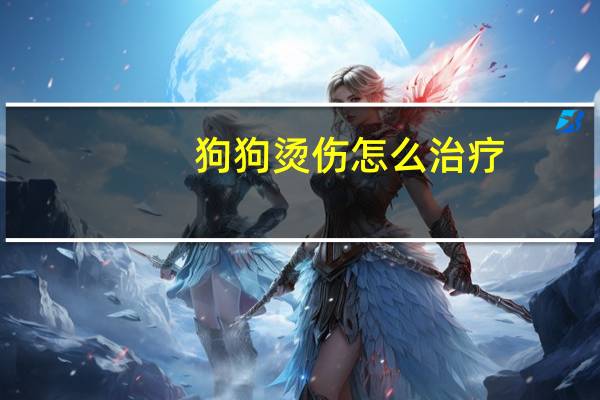 狗狗烫伤怎么治疗
