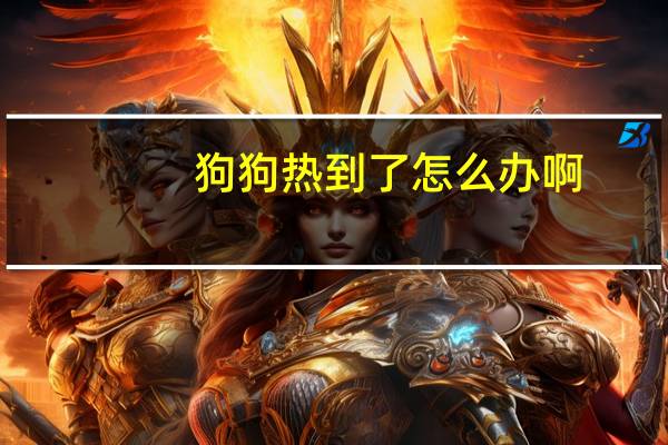 狗狗热到了怎么办啊