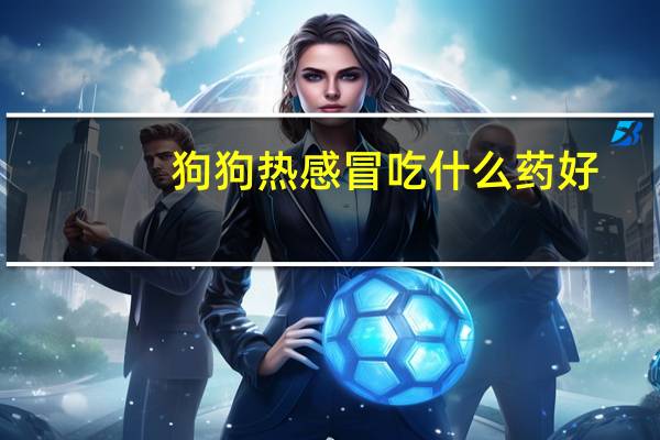 狗狗热感冒吃什么药好