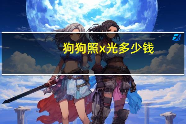 狗狗照x光多少钱