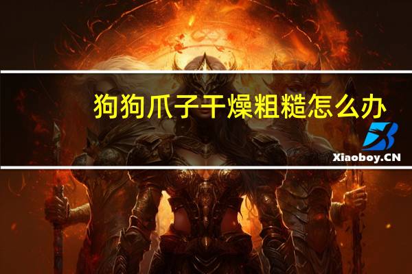 狗狗爪子干燥粗糙怎么办