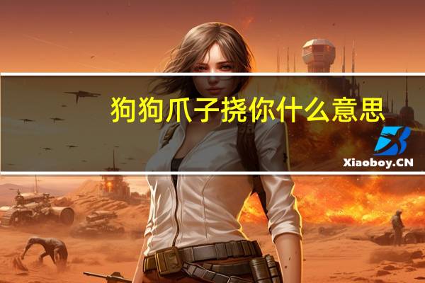 狗狗爪子挠你什么意思