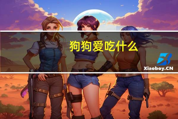 狗狗爱吃什么