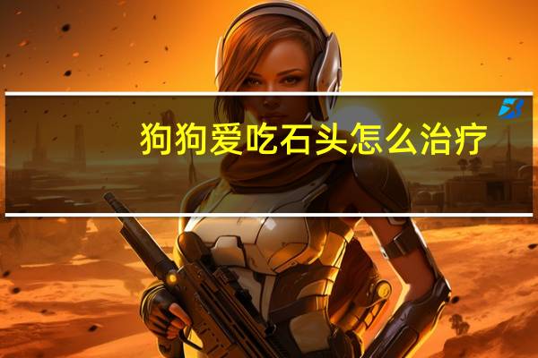 狗狗爱吃石头怎么治疗
