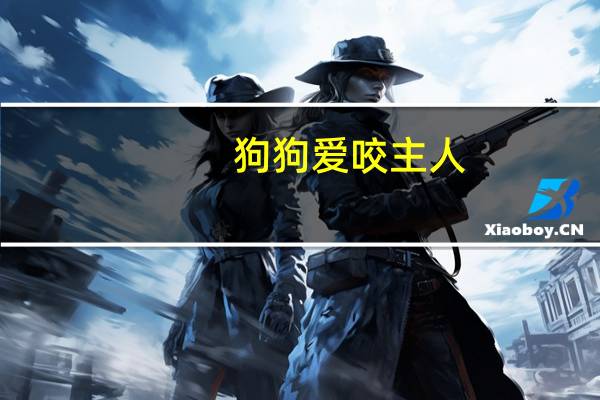 狗狗爱咬主人
