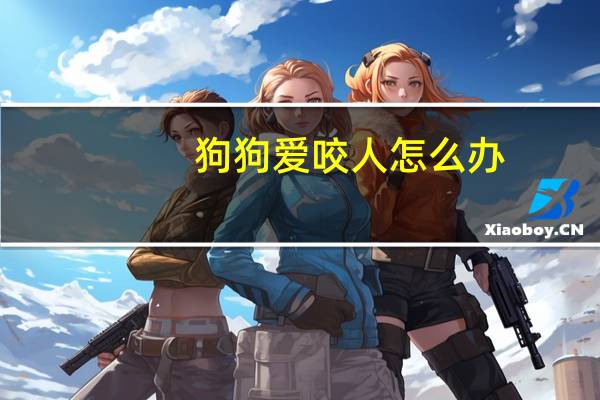 狗狗爱咬人怎么办